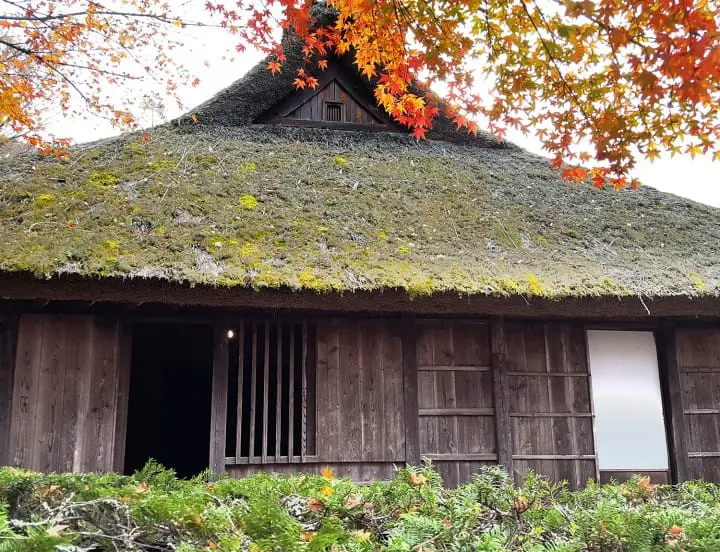 Fall in love with Mt Fuji