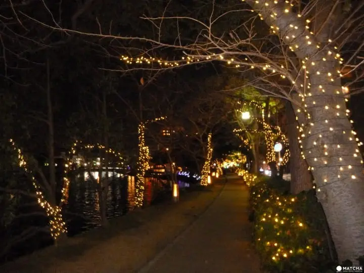 Hiroshima’s Winter Highlight, Dreamination