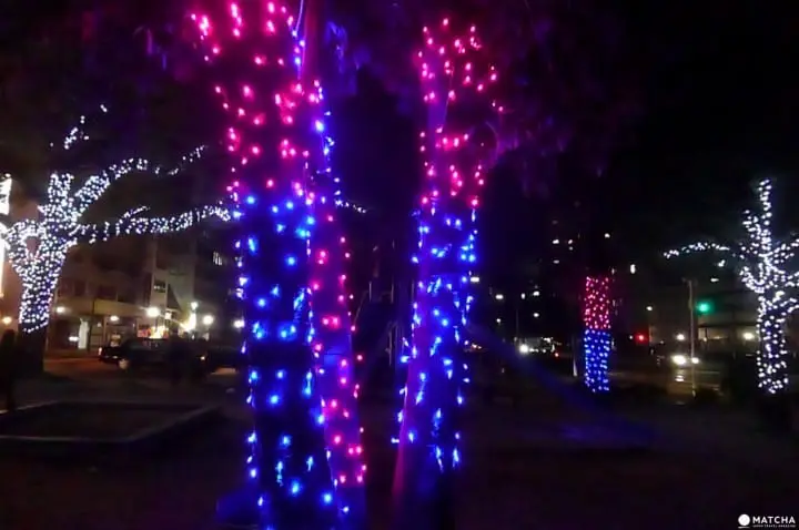 Hiroshima’s Winter Highlight, Dreamination