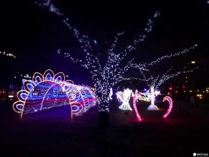 Hiroshima’s Winter Highlight, Dreamination