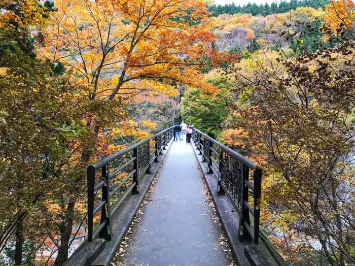 群马县赏枫景点-吹割瀑布