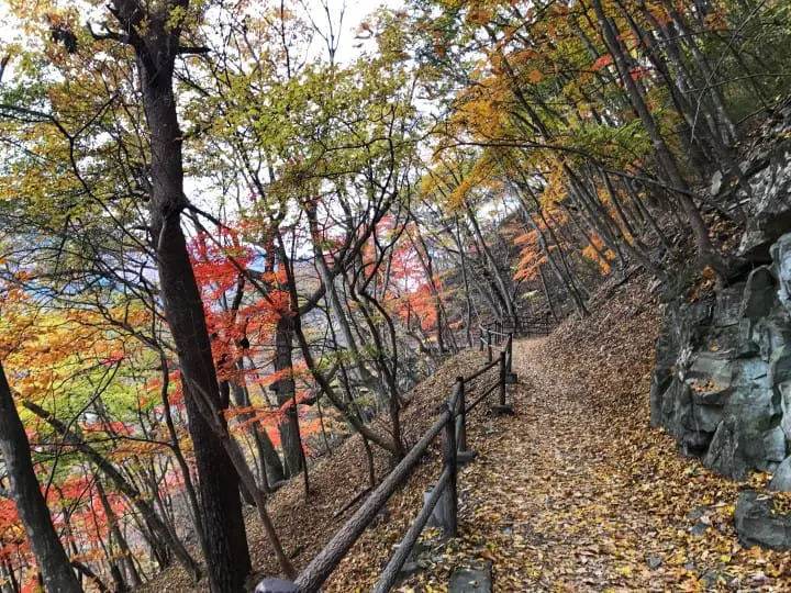 群马县赏枫景点-吹割瀑布