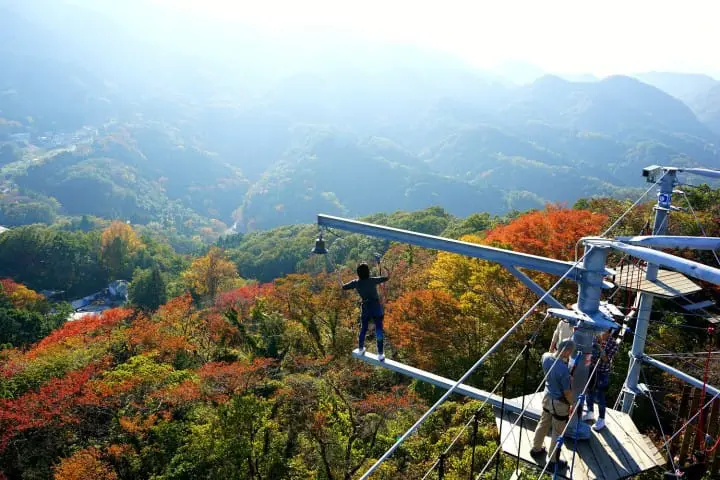 Sagamiko Pleasure Forest