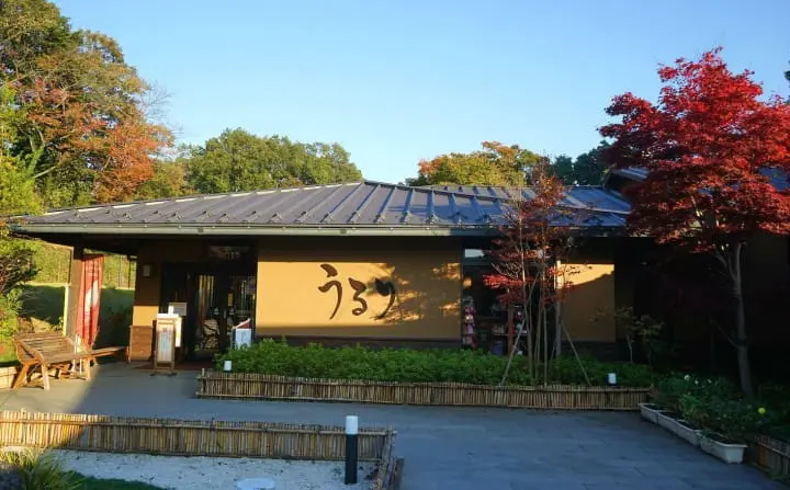 Sagamiko Pleasure Forest