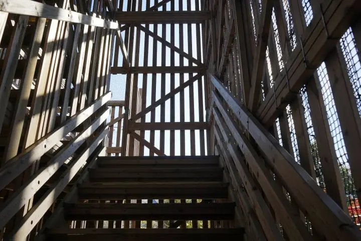 Sagamiko Pleasure Forest: Fun, Thrills and Gorgeous Illuminations!