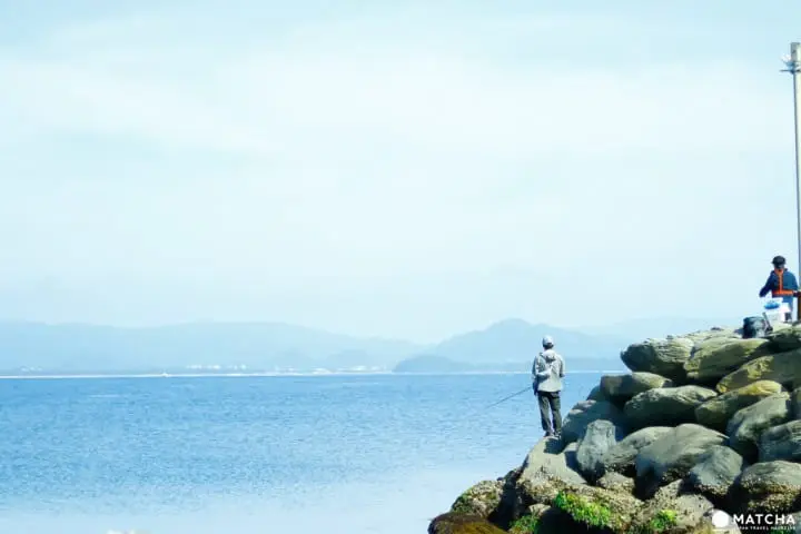 相島（釣り人）