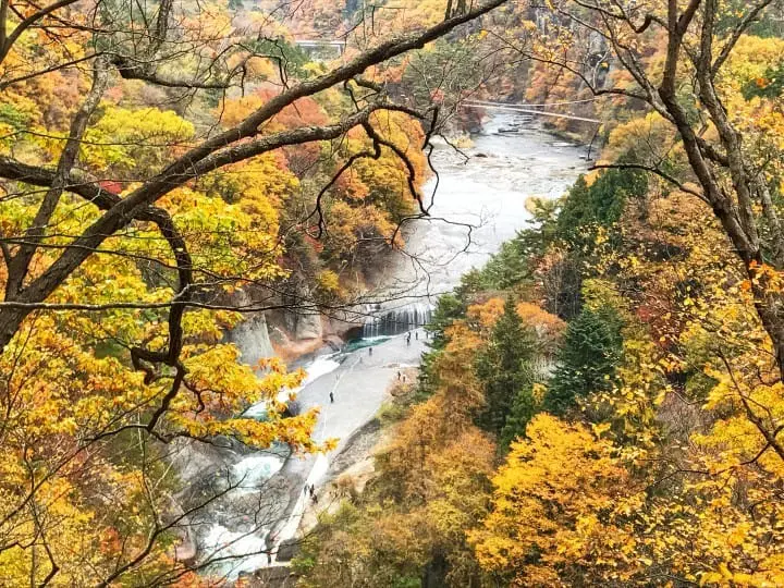群马吹割瀑布：观景台