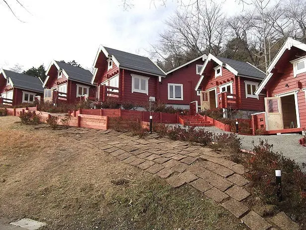 Sagamiko Pleasure Forest: Fun, Thrills and Gorgeous Illuminations!