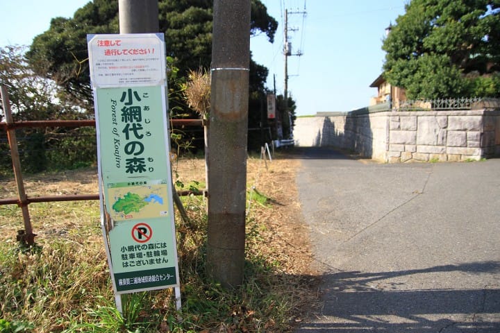 A satisfying 2-day journey to Miura Peninsula with Keikyu Misaki Maguro Pass