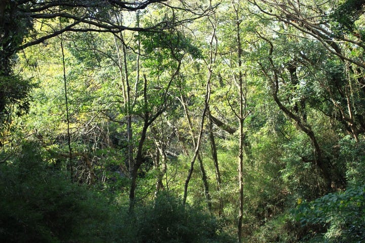 A satisfying 2-day journey to Miura Peninsula with Keikyu Misaki Maguro Pass