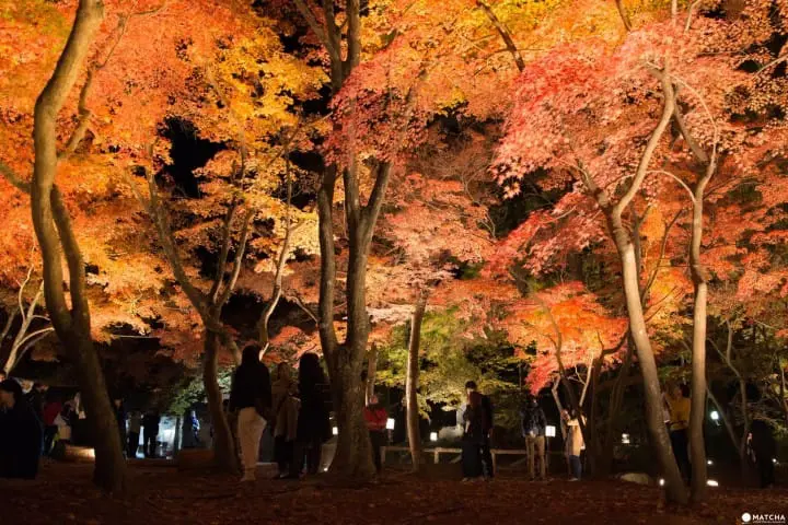 月の石もみじ公園