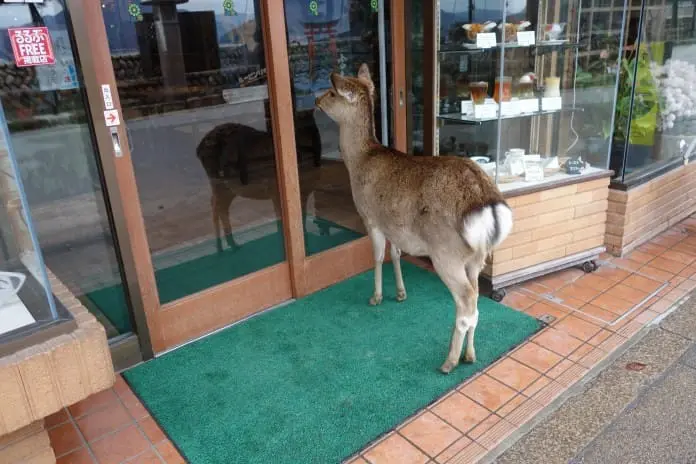 廣島 快活遊 – 宮島・本通商店街 (第五章)
