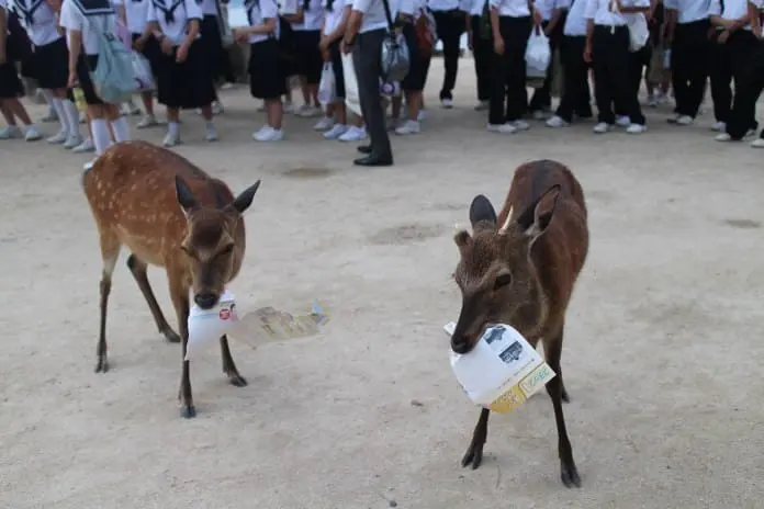 廣島 快活遊 – 宮島・本通商店街 (第五章)