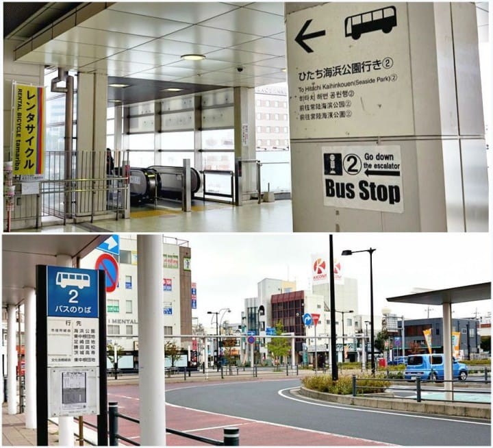 ของดีที่คนไม่ค่อยรู้ แผนเที่ยวจังหวัดอิบารากิในหนึ่งวัน!