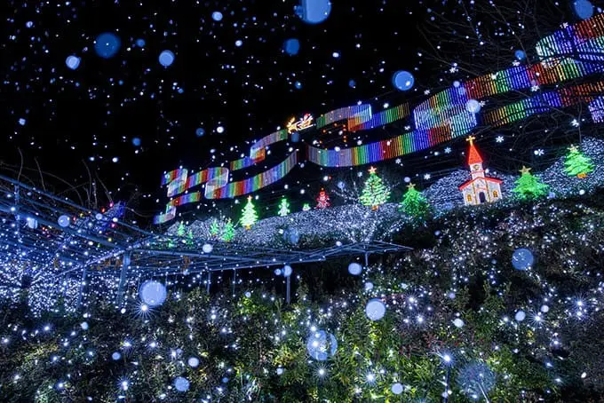 足利花卉公园点灯