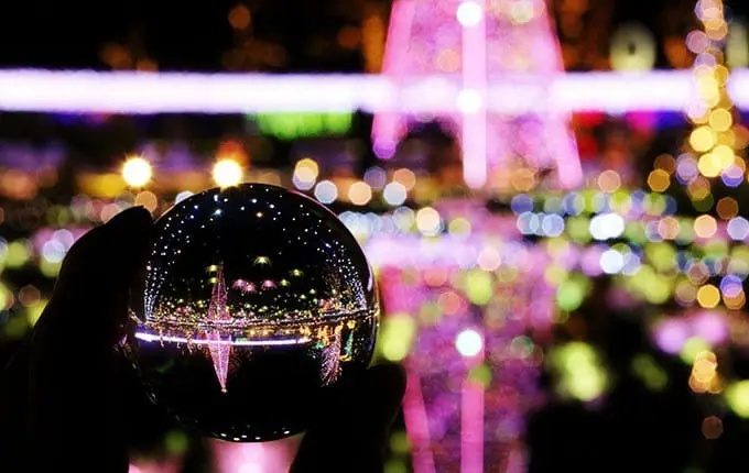 足利花卉公园点灯