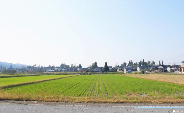 Cycling In Toyama