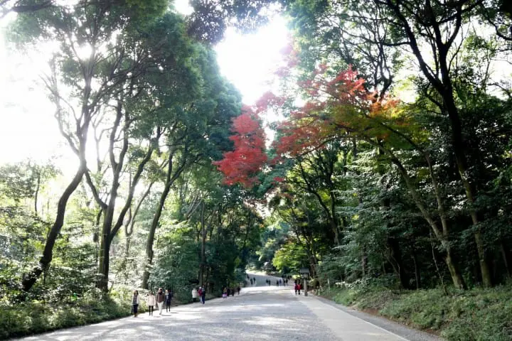 東京一日遊明治神宮