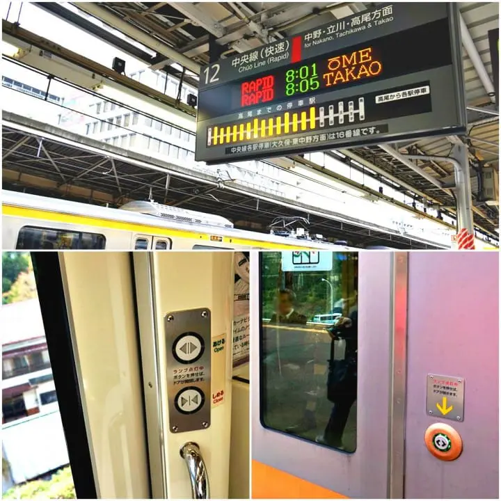 "เขามิตาเกะ" ความงามของธรรมชาติและใบไม้เปลี่ยนสีชานเมืองโตเกียว