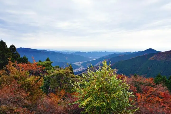 "เขามิตาเกะ" ความงามของธรรมชาติและใบไม้เปลี่ยนสีชานเมืองโตเกียว
