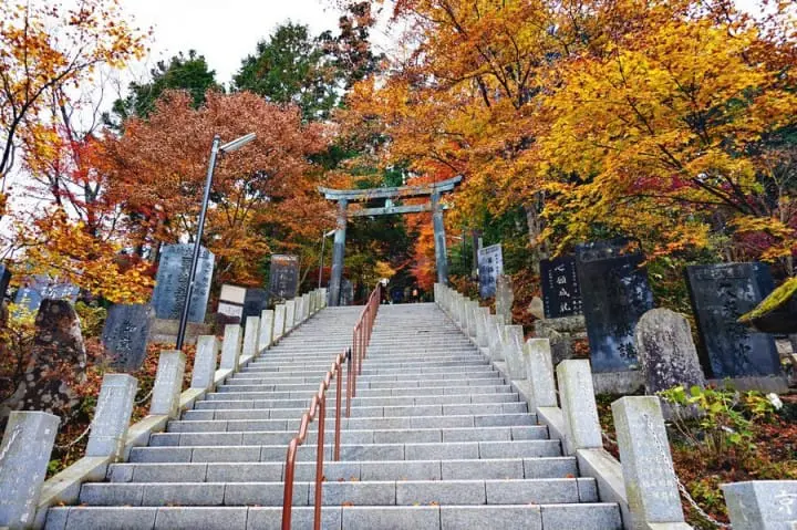 "เขามิตาเกะ" ความงามของธรรมชาติและใบไม้เปลี่ยนสีชานเมืองโตเกียว