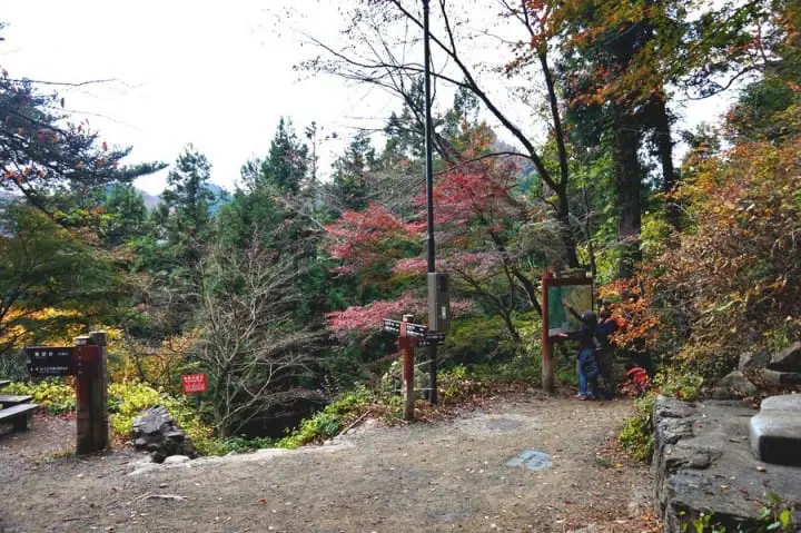 "เขามิตาเกะ" ความงามของธรรมชาติและใบไม้เปลี่ยนสีชานเมืองโตเกียว