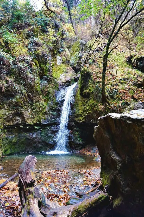 "เขามิตาเกะ" ความงามของธรรมชาติและใบไม้เปลี่ยนสีชานเมืองโตเกียว