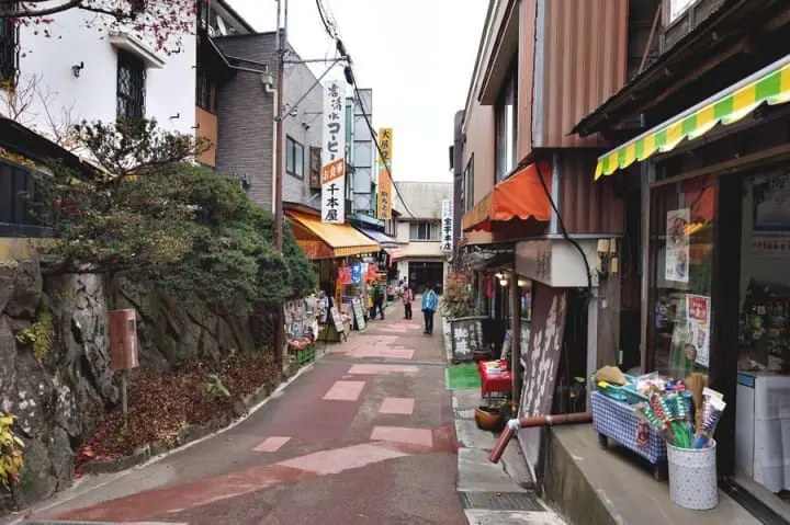 "เขามิตาเกะ" ความงามของธรรมชาติและใบไม้เปลี่ยนสีชานเมืองโตเกียว