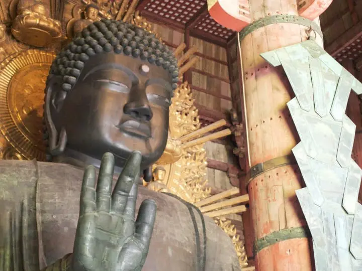 关于奈良的大小事：东大寺