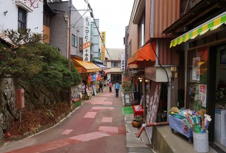 Exploring Mount Mitake