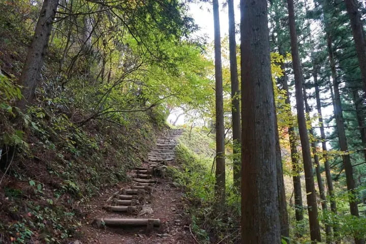 Exploring Mount Mitake