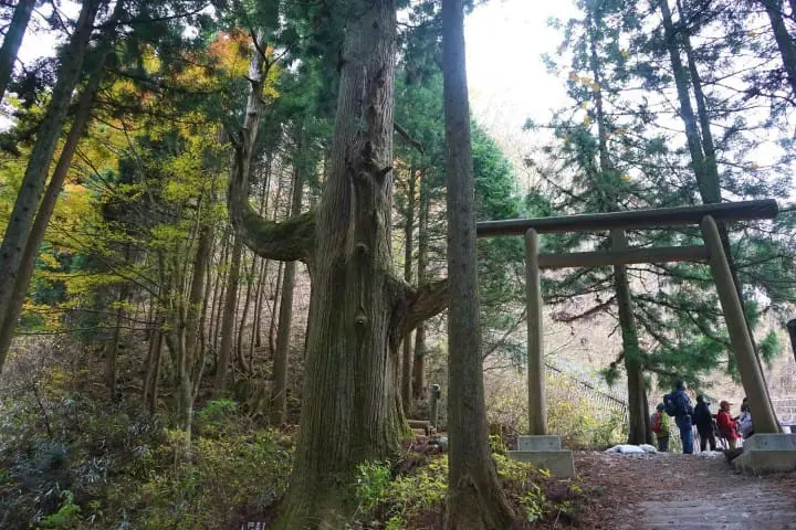 Exploring Mount Mitake
