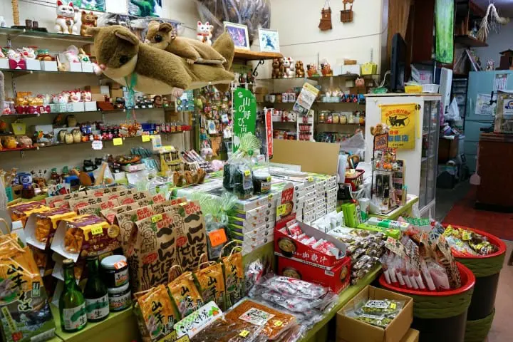 Exploring Mount Mitake