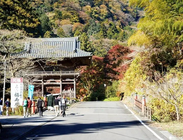 Tour Tochigi City in a Day