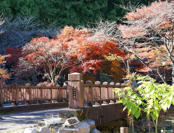 Tour Tochigi City in a Day