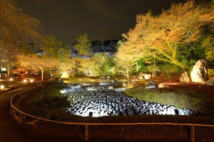 见证古都的魔幻时刻 横跨17年 18年 京都 花灯路 Matcha 日本旅游网络杂志