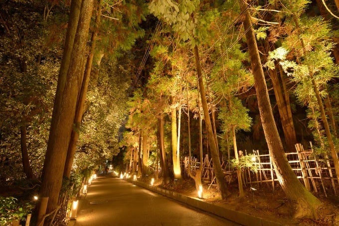 见证古都的魔幻时刻 横跨17年 18年 京都 花灯路 Matcha 日本旅游网络杂志