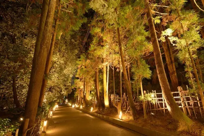 京都嵐山花燈路