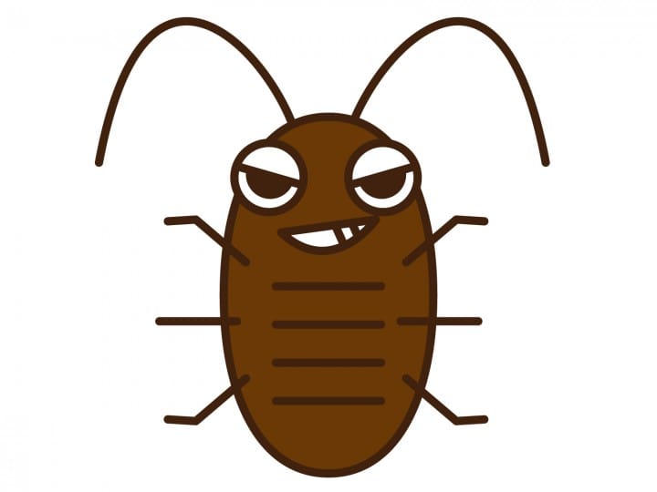蟑螂