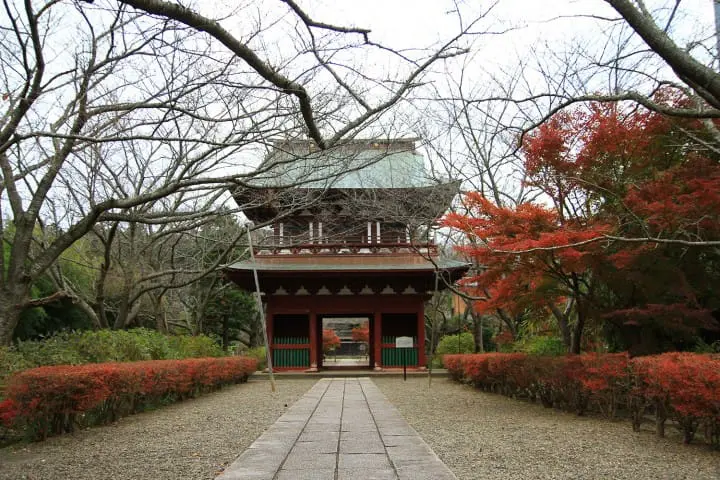 One late autumn day in Itako, the city on water edge