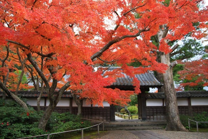 A Day Trip To Itako, The Charming Waterway City Of Ibaraki | MATCHA ...