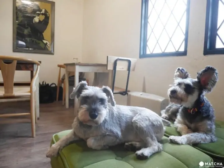 早稻田素食咖啡厅cafe VG