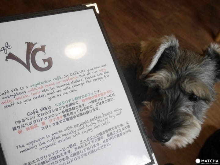 早稻田素食咖啡廳cafe VG
