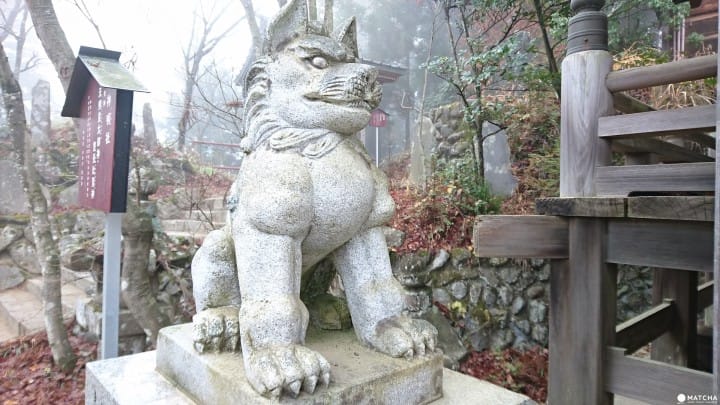 御岳山 狛犬