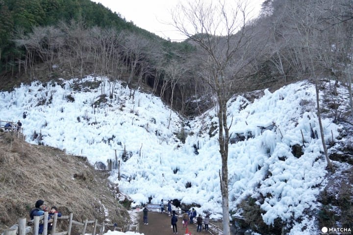 秩父蘆之久保冰柱