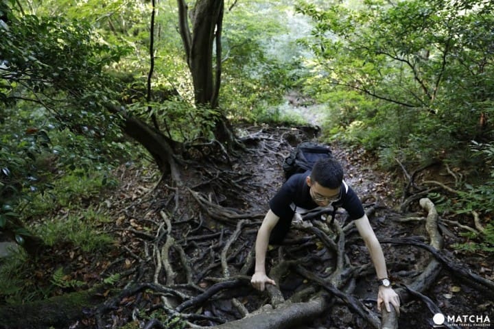 カズラ坂