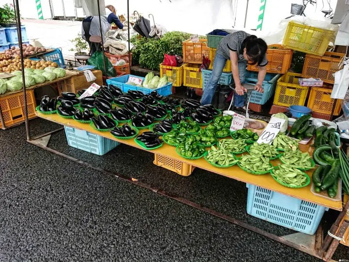 【高知】高知轻旅行 文化美食散策