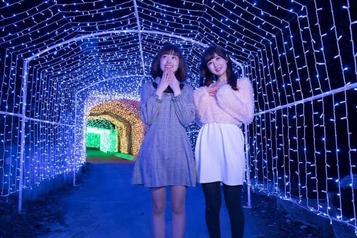 Sagamiko Resort Pleasure Forest: Fun, Thrills and Gorgeous Illuminations!