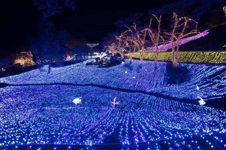 Sagamiko Resort Pleasure Forest: Fun, Thrills and Gorgeous Illuminations!