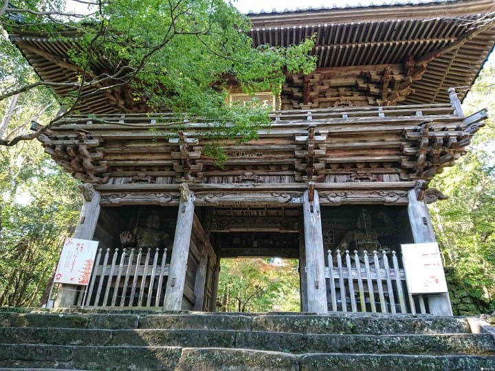 【高知】高知轻旅行 文化美食散策